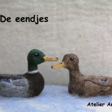 Begeleidingscursus 1