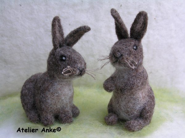 Begeleidingscursus 2